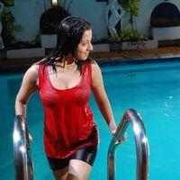 Keerthi Chawla Spicy in Allam Bellam Movie Stills | Picture 84723
